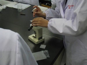 f:id:bunseki:20091130105935j:image