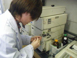 f:id:bunseki:20091204140602j:image
