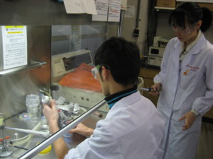 f:id:bunseki:20100108110428j:image