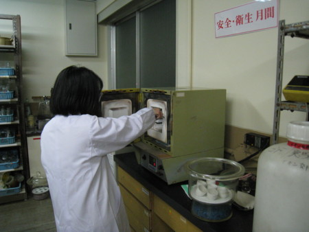f:id:bunseki:20100114083854j:image