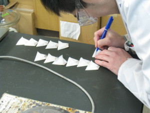 f:id:bunseki:20100208111419j:image