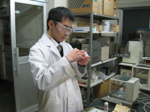 f:id:bunseki:20100208112251j:image