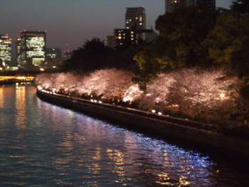 f:id:bunseki:20100226204516j:image
