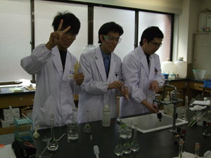 f:id:bunseki:20100312160653j:image