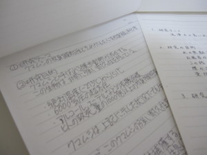 f:id:bunseki:20100326002714j:image