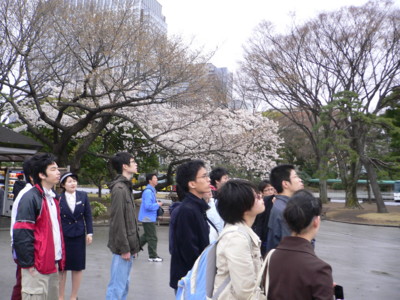 f:id:bunseki:20100402102016j:image