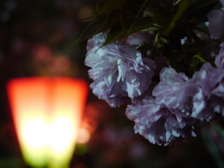 f:id:bunseki:20100417203144j:image,w300
