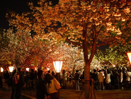 f:id:bunseki:20100417203827j:image,w300
