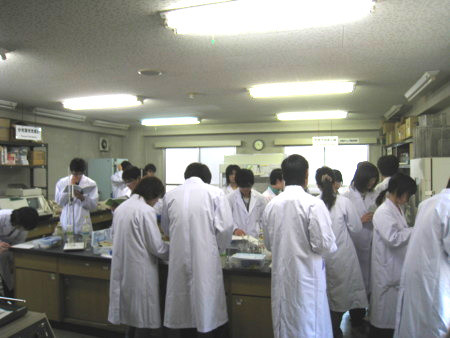 f:id:bunseki:20100430102026j:image:left