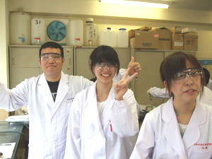 f:id:bunseki:20100510153958j:image