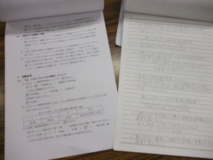 f:id:bunseki:20100523124926j:image