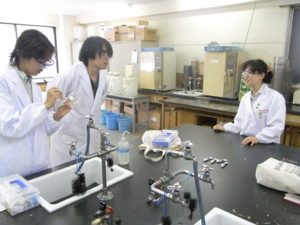 f:id:bunseki:20100603151820j:image