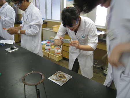 f:id:bunseki:20100612125737j:image