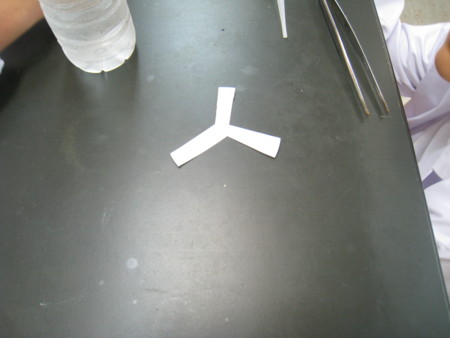 f:id:bunseki:20100612135506j:image