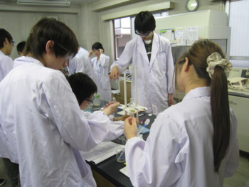 f:id:bunseki:20100621133259j:image