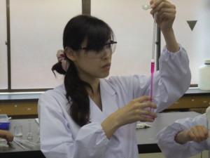 f:id:bunseki:20100627140753j:image