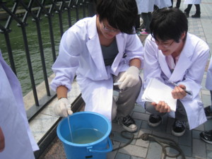 f:id:bunseki:20100702124419j:image