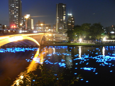f:id:bunseki:20100707195953j:image