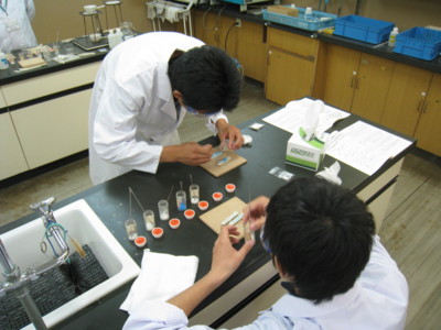 f:id:bunseki:20100713130854j:image:left