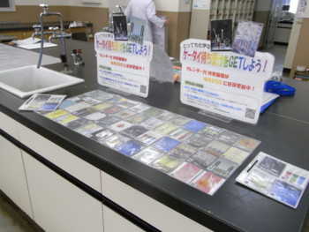 f:id:bunseki:20100804095646j:image