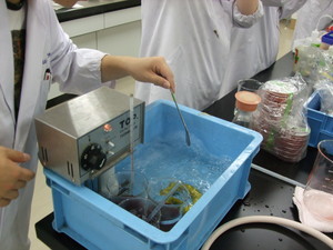 f:id:bunseki:20100823162740j:image