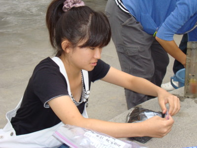 f:id:bunseki:20100924131743j:image