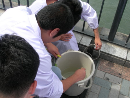 f:id:bunseki:20100927115139j:image