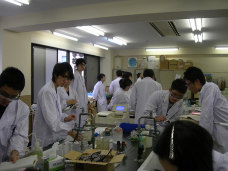 f:id:bunseki:20100927151446j:image