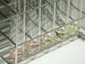 f:id:bunseki:20101004123715j:image