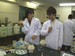 f:id:bunseki:20101011155207j:image