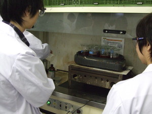 f:id:bunseki:20101011155450j:image