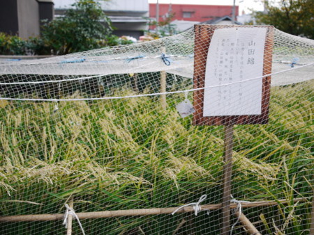 f:id:bunseki:20101011163118j:image,w300