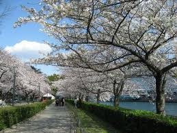 f:id:bunseki:20101021075318j:image