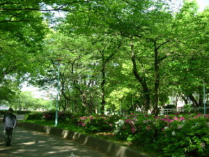 f:id:bunseki:20101021075319j:image