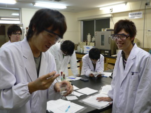 f:id:bunseki:20101025151243j:image