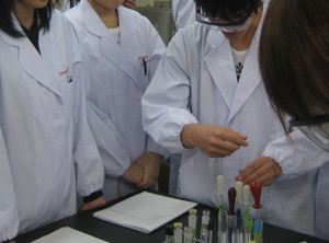 f:id:bunseki:20101102142223j:image