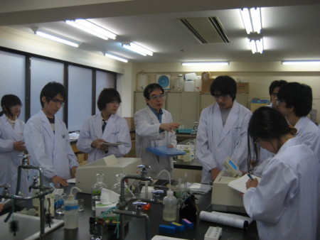 f:id:bunseki:20101102151646j:image