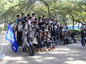 f:id:bunseki:20101105122145j:image