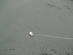 f:id:bunseki:20101105132254j:image