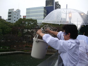 f:id:bunseki:20101105132401j:image
