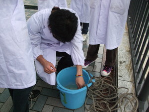 f:id:bunseki:20101105132628j:image