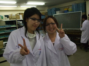 f:id:bunseki:20101105140502j:image
