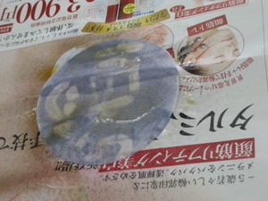 f:id:bunseki:20101108152306j:image