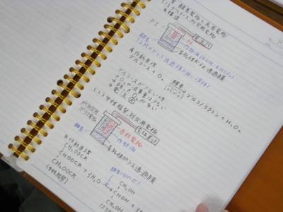 f:id:bunseki:20101109102730j:image