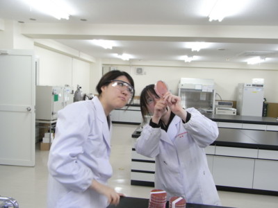 f:id:bunseki:20101109114953j:image
