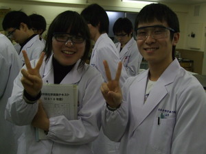 f:id:bunseki:20101113180335j:image