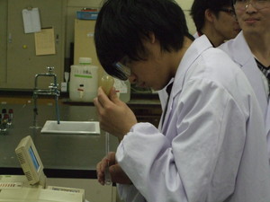 f:id:bunseki:20101113180424j:image