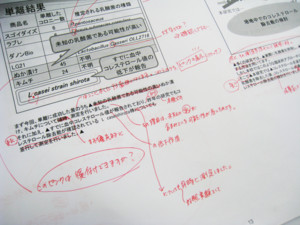 f:id:bunseki:20101115150610j:image