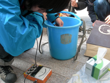 f:id:bunseki:20101120101908j:image