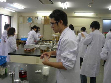 f:id:bunseki:20101120124316j:image